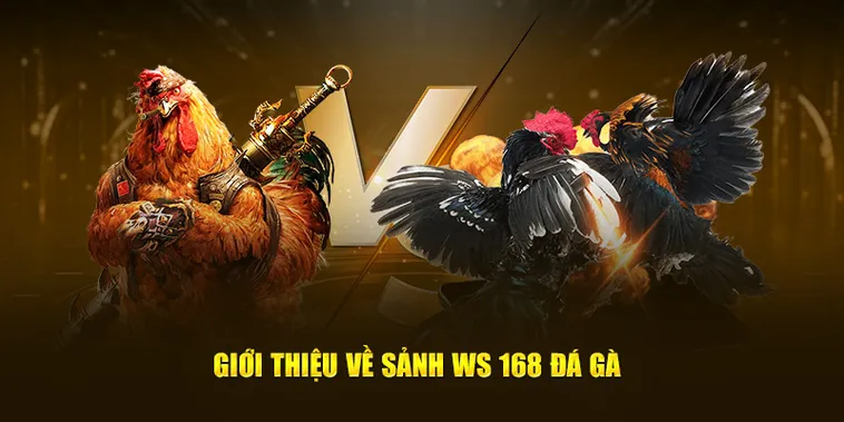Toàn Tập Cách Chơi Đá Gà WS168 Tại 69VN Cho Người Mới 2 Toàn Tập Cách Chơi Đá Gà WS168 Tại 69VN Cho Người Mới