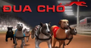 Mẹo Cược Cách Chơi Game Nhanh Đua Chó Tại 69VN Bất Bại 5 Mẹo Cược Cách Chơi Game Nhanh Đua Chó Tại 69VN Bất Bại