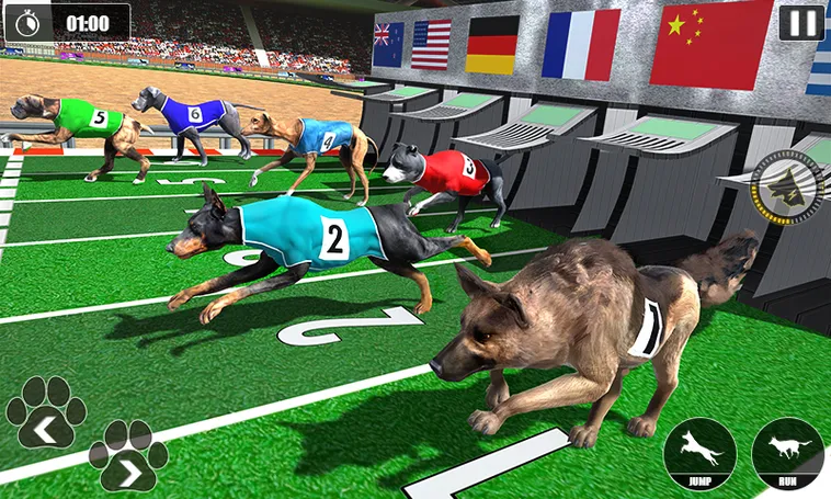 Mẹo Cược Cách Chơi Game Nhanh Đua Chó Tại 69VN Bất Bại 2 Mẹo Cược Cách Chơi Game Nhanh Đua Chó Tại 69VN Bất Bại